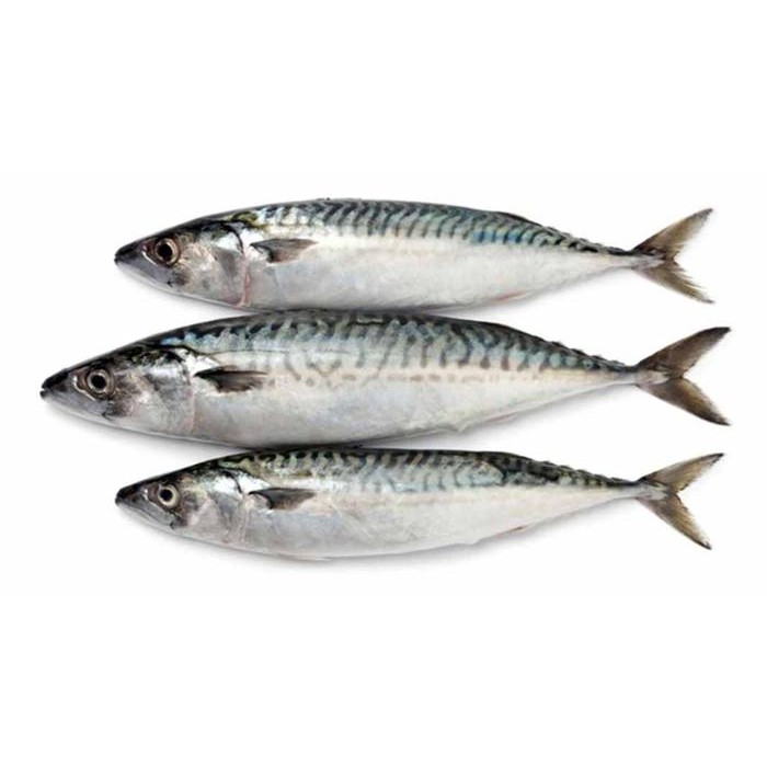 

PastiFreShNya- Ikan Salem Makarel (21K/Kg.) (By Masokan Fish)