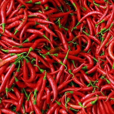 

BnyKBonusBelidiMari- Cabe Merah Keriting - 500gr