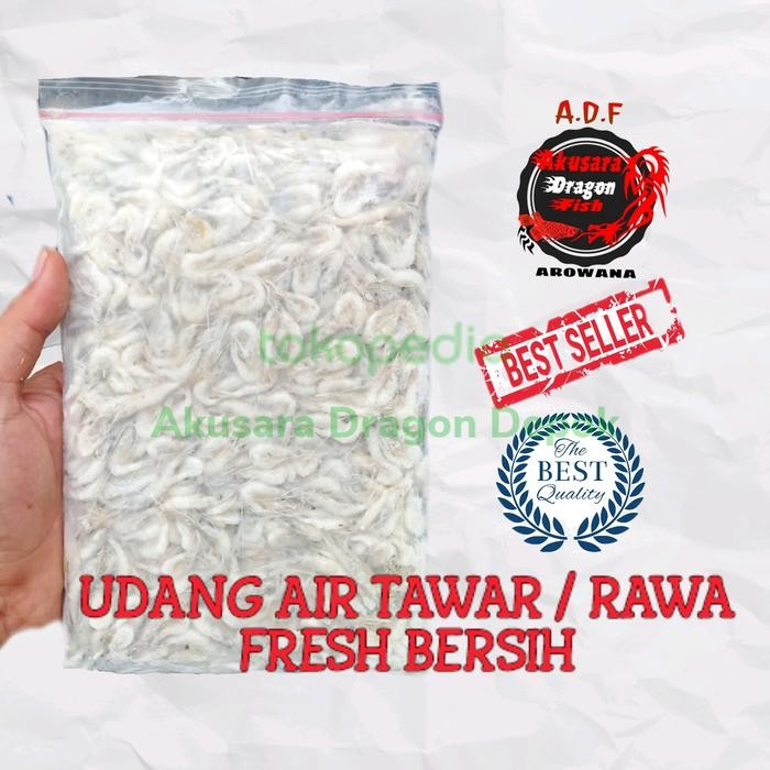 

PastiFreShNya- Udang air tawar / udang rawa beku