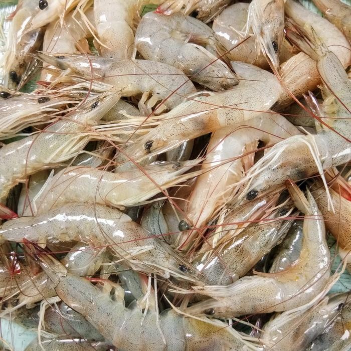 

PastiFreShNya- Jual Promo Udang Peci fres