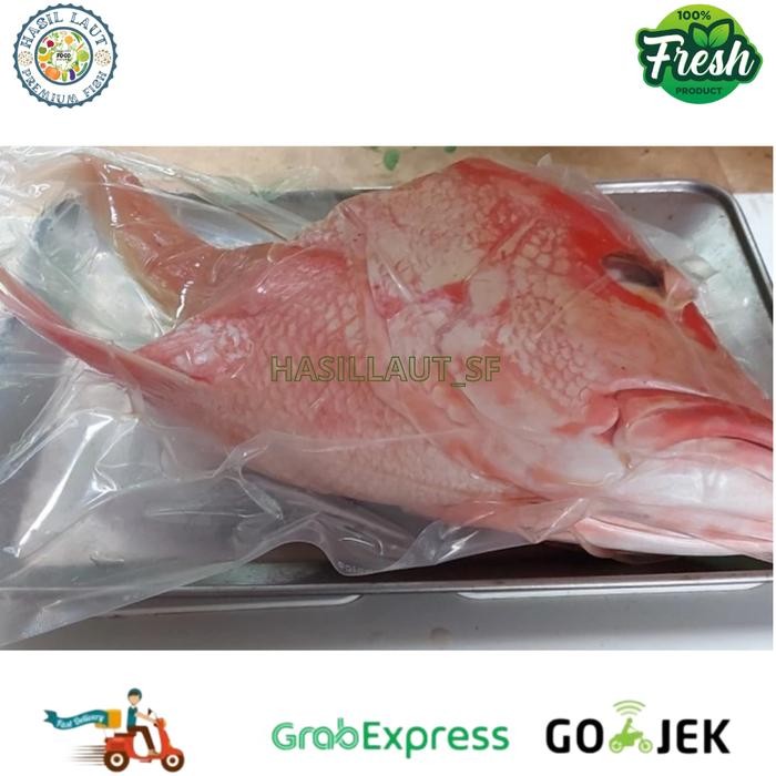 

PastiFreShNya- Kepala Kakap Merah Besar Segar/Fresh - 300-400 Gram