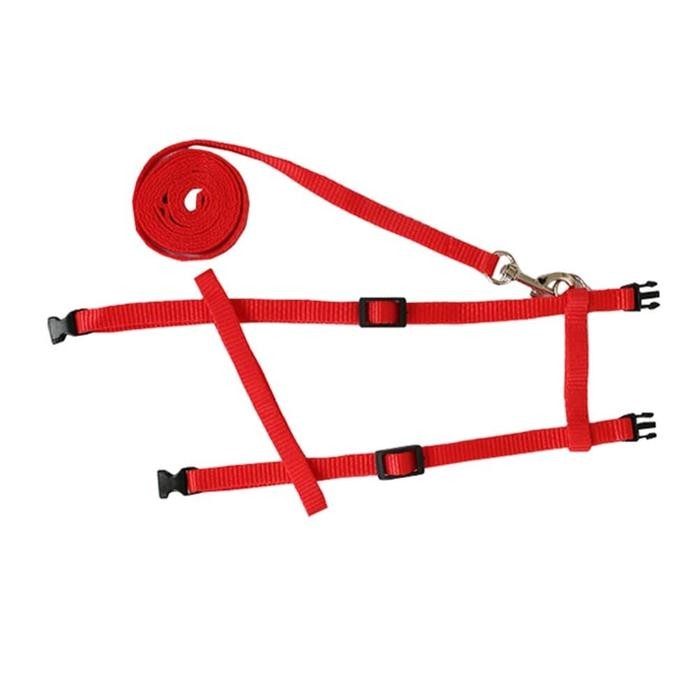 Harnes H Tali Pernuntun Hewan Kucing Musang Kelinci Biawak Luak