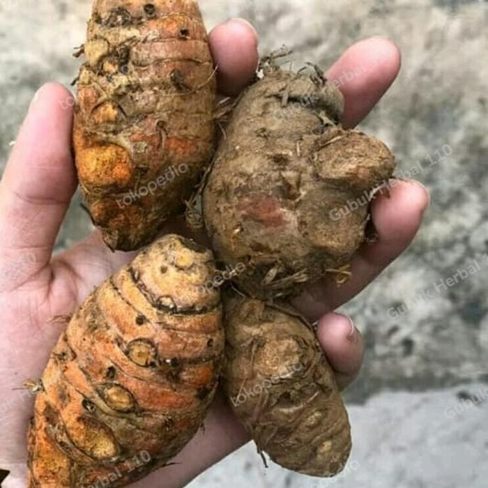 

New Biang Kunyit 1kg