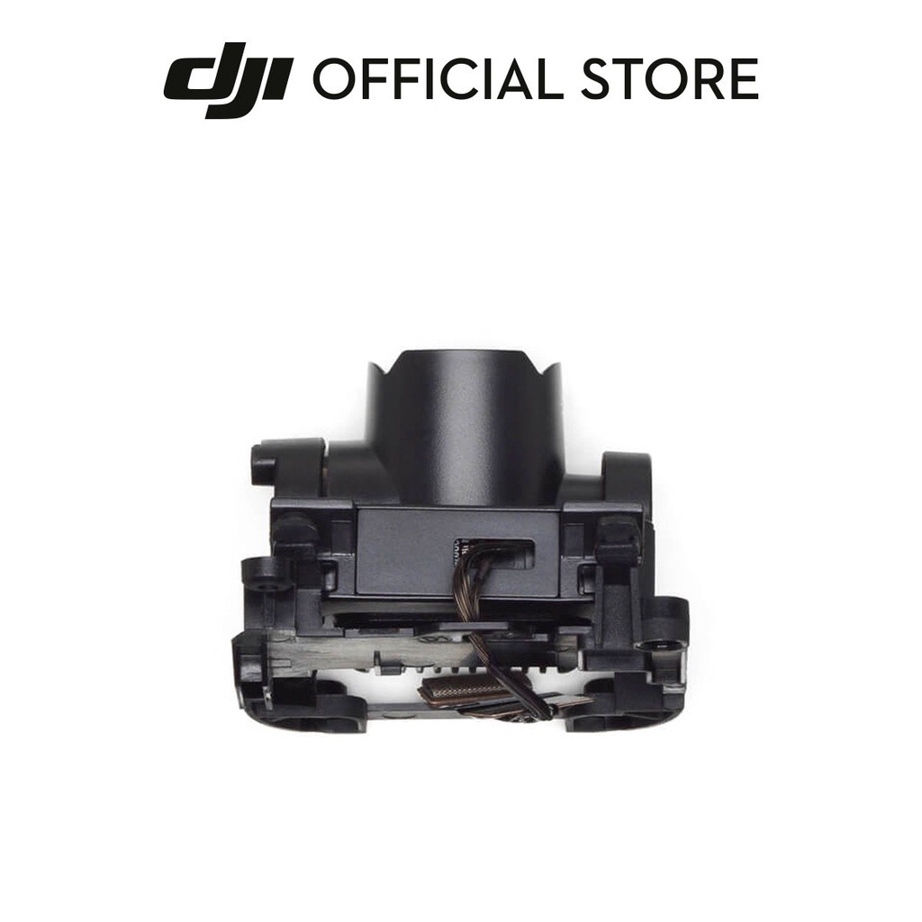 DJI FPV Gimbal Camera