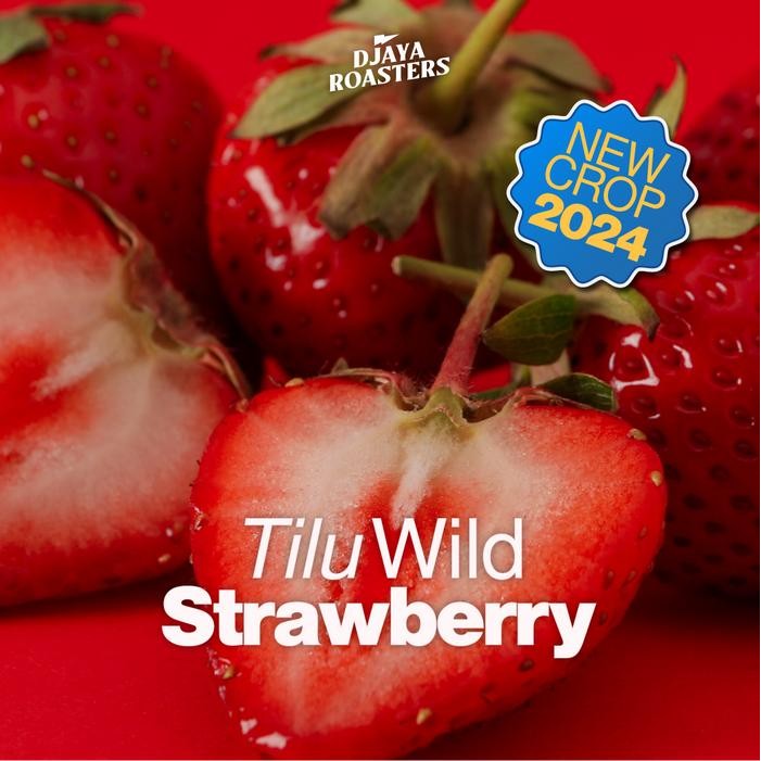 

Tilu Wild Strawberry - Natural Single Origin Filter Coffee
