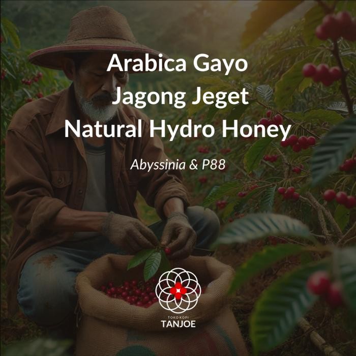 

Green Beans Arabica Gayo Natural Hydro Honey Process Jagong Jeget Coffee Specialty 1kg