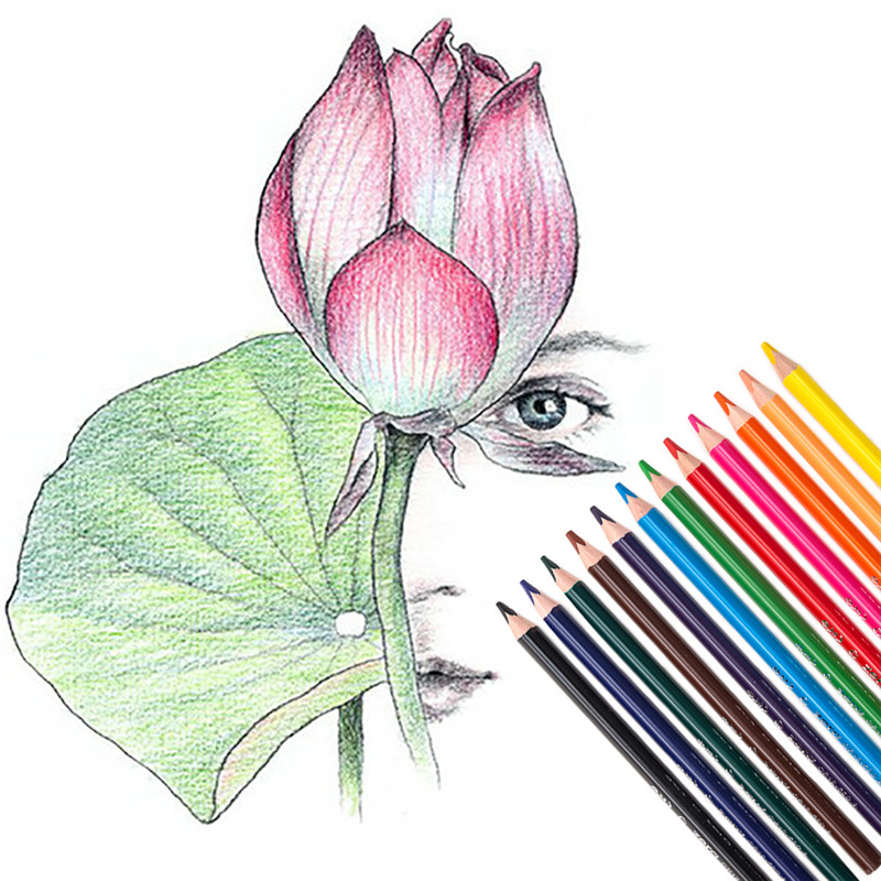 

12Pcs Triangle Colored Pencils Set With Thick Barrel (5Mm Core) And Sharpenerfor Professional