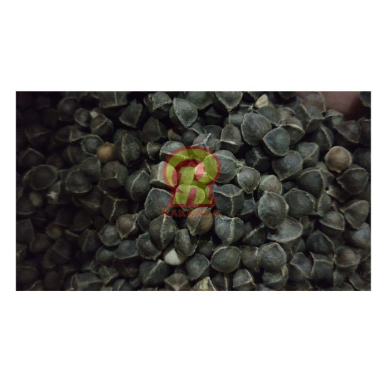 

Biji Kelor 300gr Morianga Seed Lamuzi