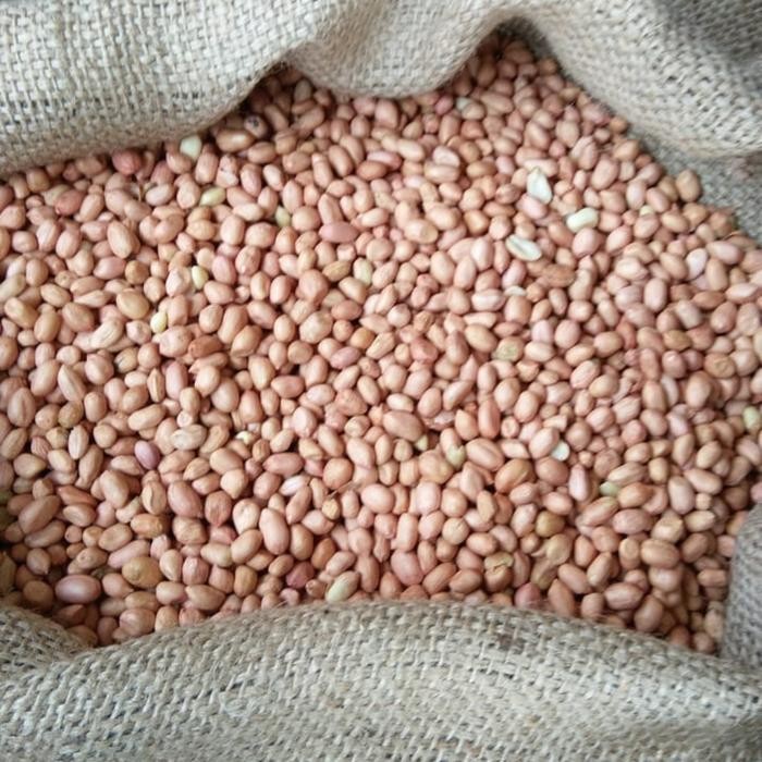 

Kacang Tanah India java 80/90 per 10kg khusus gojek dan grab Terlaris