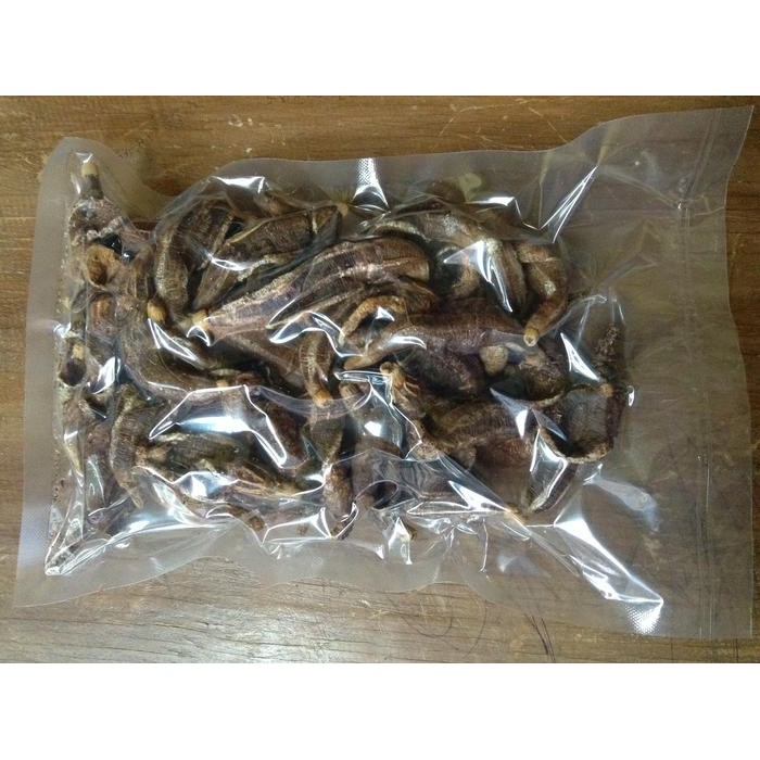 kima keripik/kripik teripang/tripang ikan/tripang madura