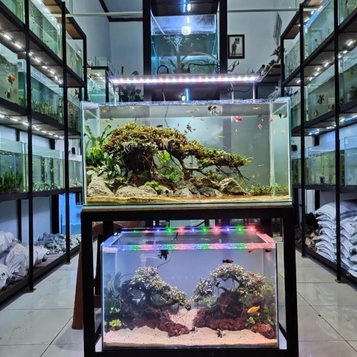 PREMIUM bonsai aquascape full set tank 30 tema bonsai