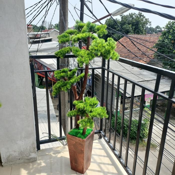 PREMIUM Pohon Bonsai Cemara Udang/Bonsai Cemara Udang Artificial/ Pohon Bonsai Tinggi 1,5 m