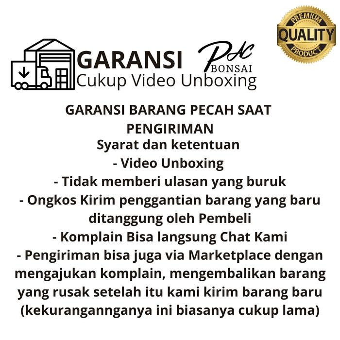 PREMIUM Pot Bonsai Keramik Model Unik Small
