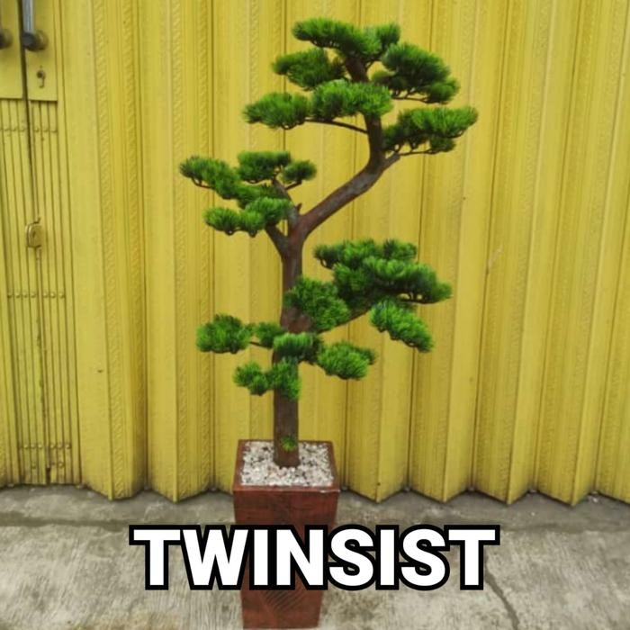PREMIUM Pohon Bonsai Cemara Plastik Artificial Palsu 110 Cm / Bunga Hias Sudut