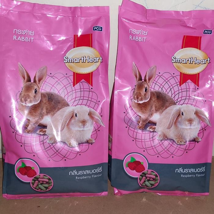 Pawretty- smart heart raspberry pakan kelinci