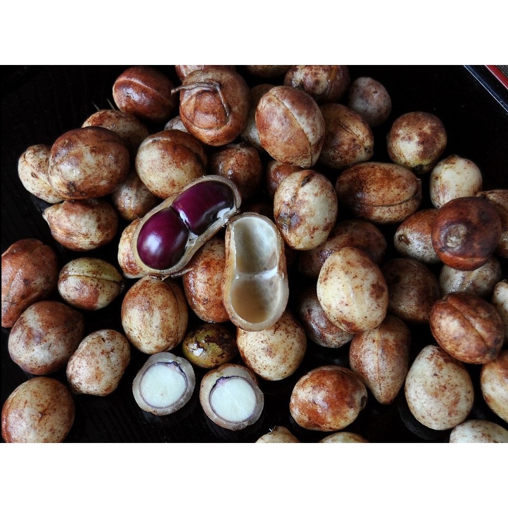 

Kacang Bogor Konvensional 250 gram