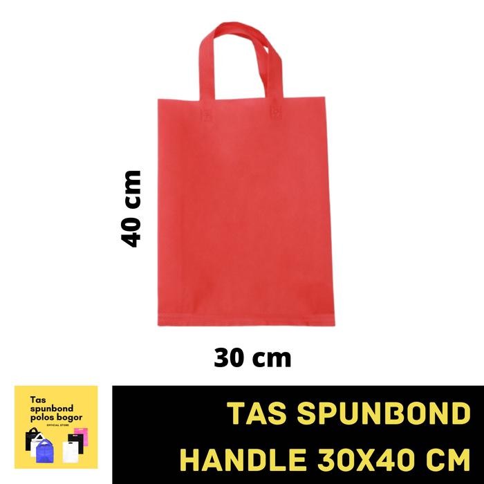 

Pesta- GOODIE BAG TAS SPUNBOND HANDLE 30x40 cm - LUSINAN