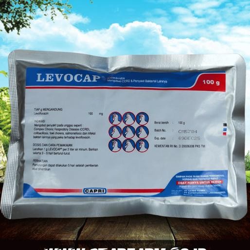 Ready stock] LEVOCAP Anti Mikroba & Bakterial 100gr - Star Farm