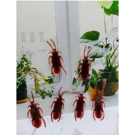 PREMIUM Mainan Kecoa Karet Mainan Kucing Kecoa Bahan Karet Mirip Asli