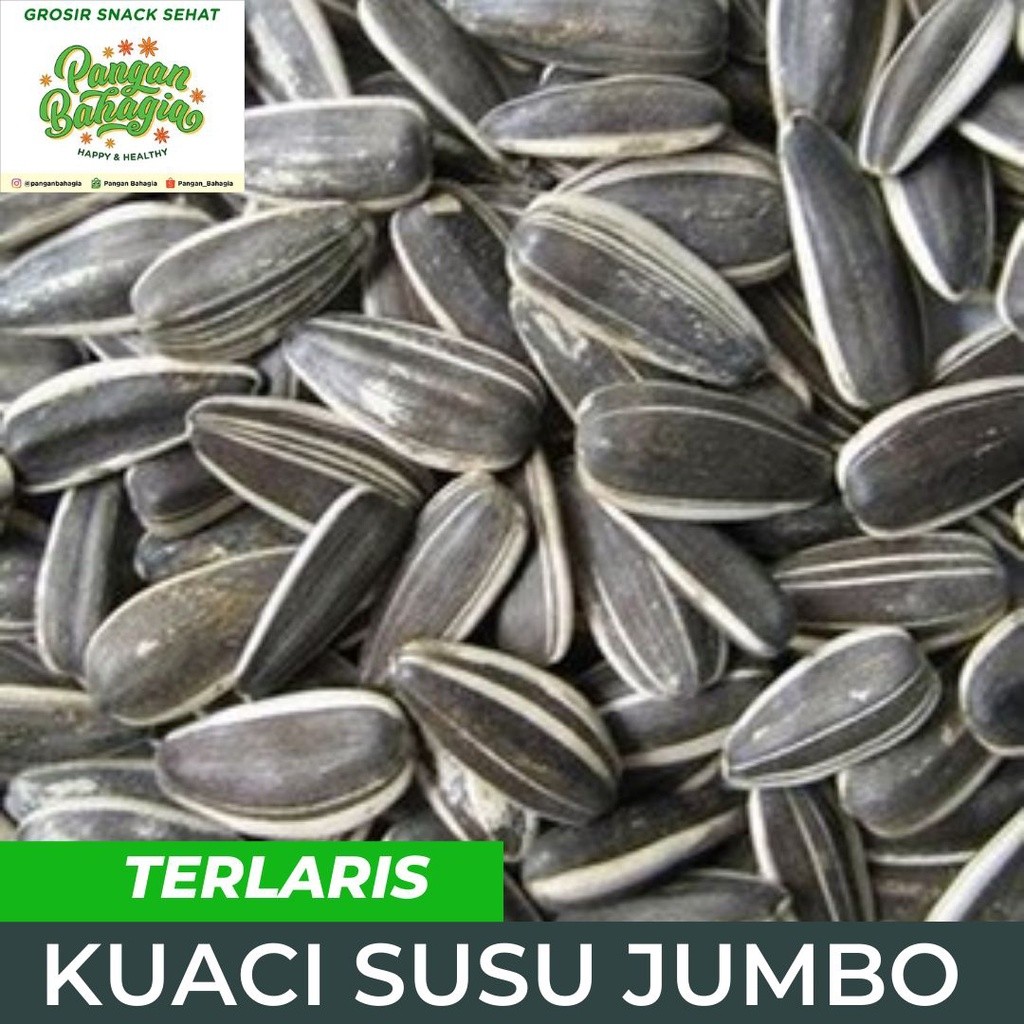 

Kwaci kuaci bunga matahari JUMBO Rasa Susu 500gr
