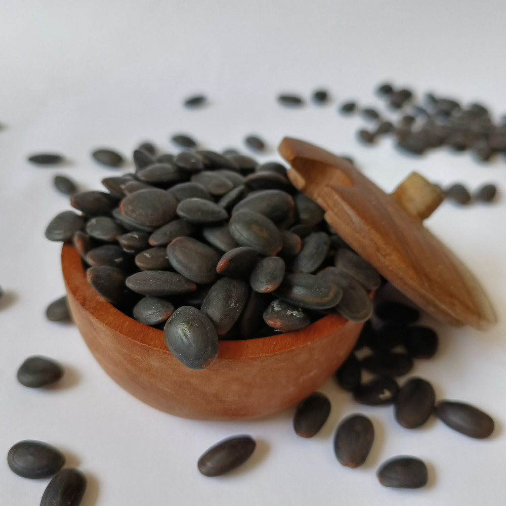 

Biji kedawung kering biji kedaung kualitas super