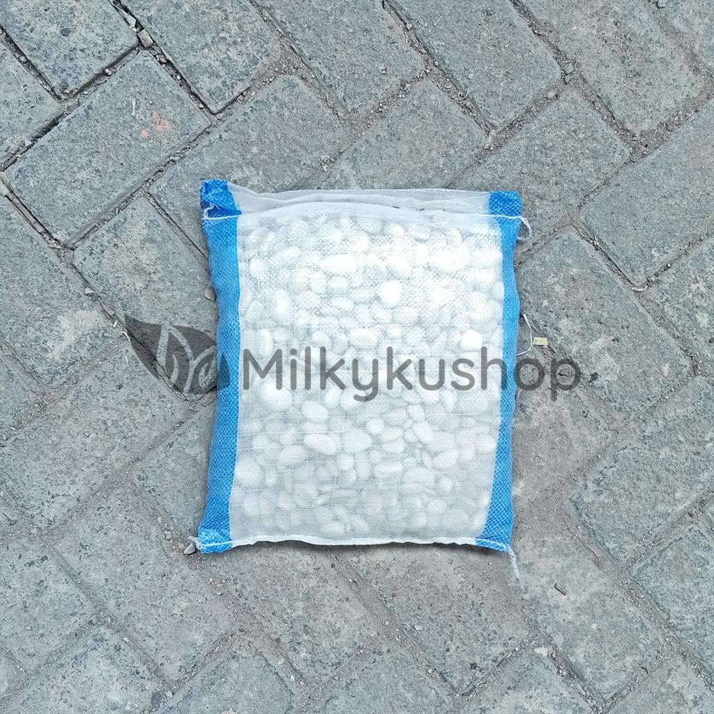 BATU KORAL PUTIH KECIL - HIASAN TAMAN BATU MAKAM VIA GOSEND GRAB