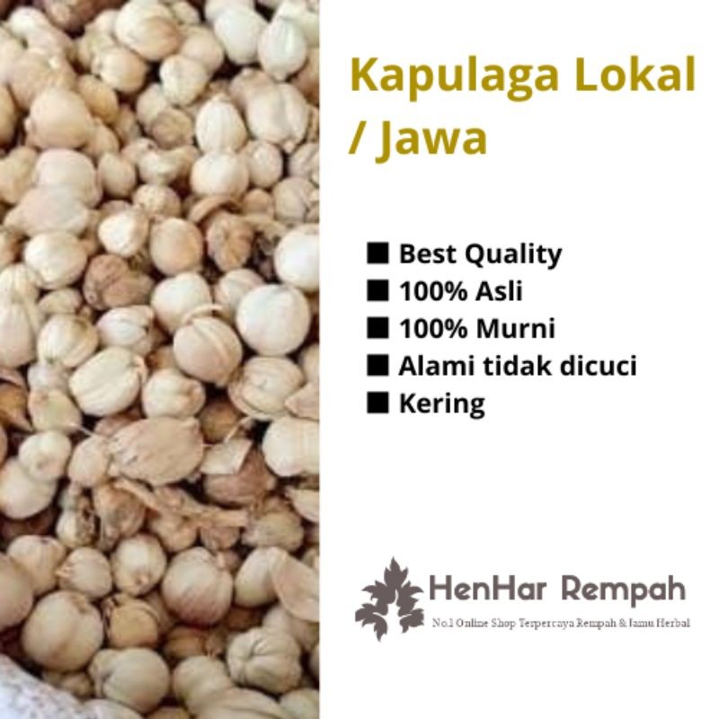 

Kapulaga Lokal Kapulaga Jawa kering 50 gr & 100 gr