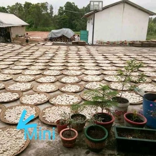 

JTTOP" KEMPLANG/KERUPUK MINI SUPER IKAN TENGGIRI KHAS PALEMBANG
