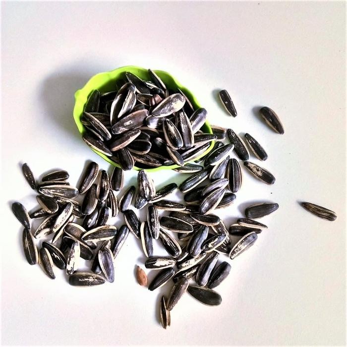 

JTTOP" KUACI REBO 2KG/KWACI BIJI BUNGA MATAHARI /REBO KUACI ORIGINAL