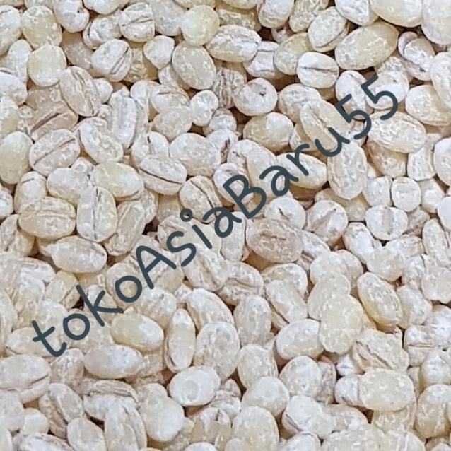 

JTTOP" HANJALI 500GR / JALI BELANDA / HANJELI JALI / BARLEY