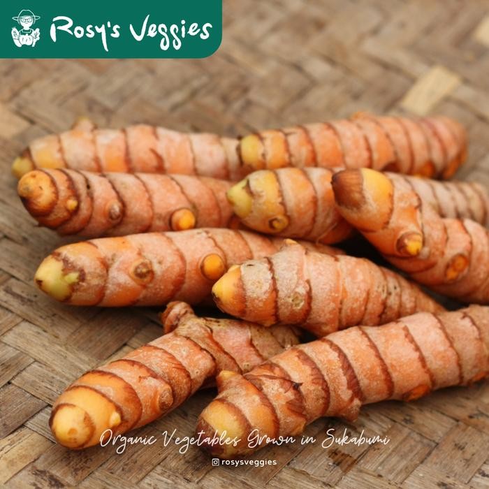 

Terlaris Kunyit Organik (Rempah Organik) 250 Gram