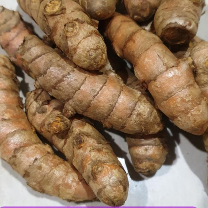 

Terlaris Kunyit/Kunir Segar 250Gr Herbal