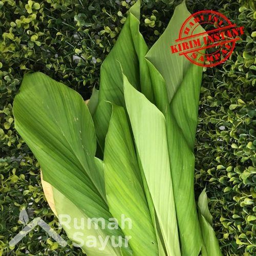 

Terlaris Rumah Sayur Daun Kunyit [100 Gram]