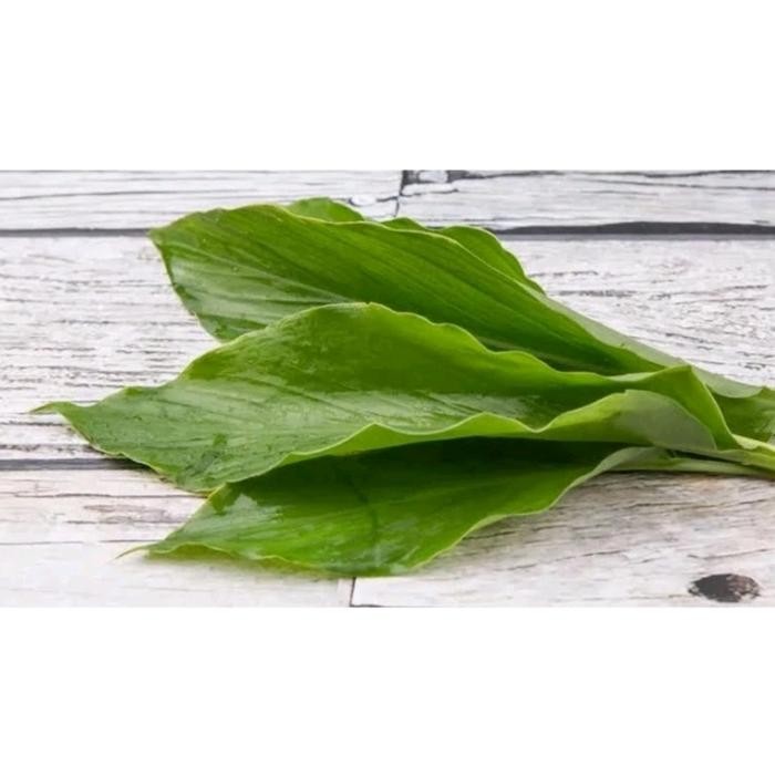 

Terlaris Daun Kunyit 1 Ikat