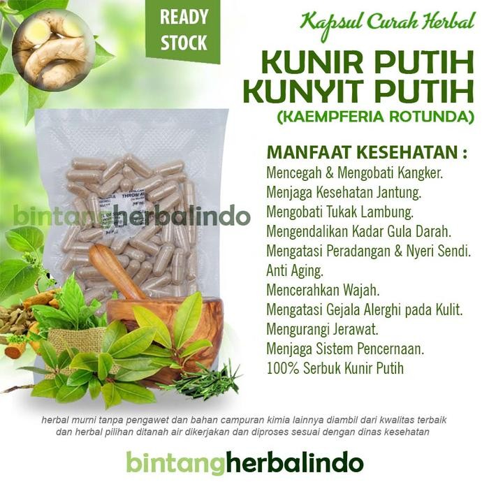 

Terlaris Kapsul Curah Herbal Kunir Kunyit Putih 600Mg Kanker Kolesterol Stroke