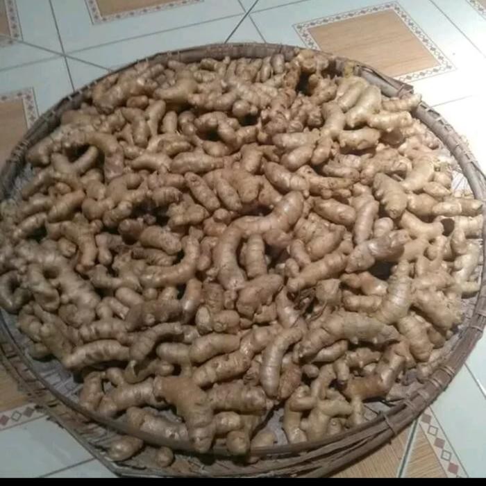

Terlaris Ready Kunyit Putih 1Kg Segar (Curcuma Zedoria) Temu Kunir Basah Segar