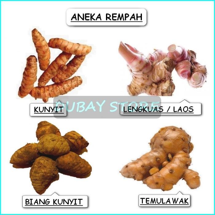 

Terlaris Kunyit / Temulawak Koneng Gede / Lengkuas Laja Laos / Biang Kunyit