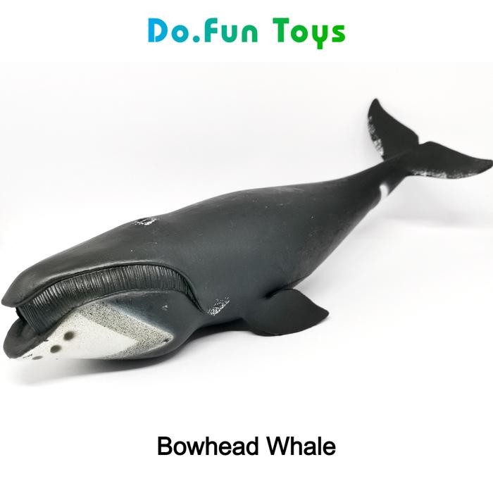 ASLI Bowhead Whale Animal Figure / Miniatur Ikan Paus Kelapa Busur