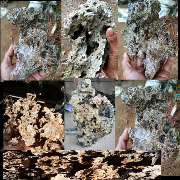 batu karang gunung bolong serba guna aquascape/bonsai/penghias taman