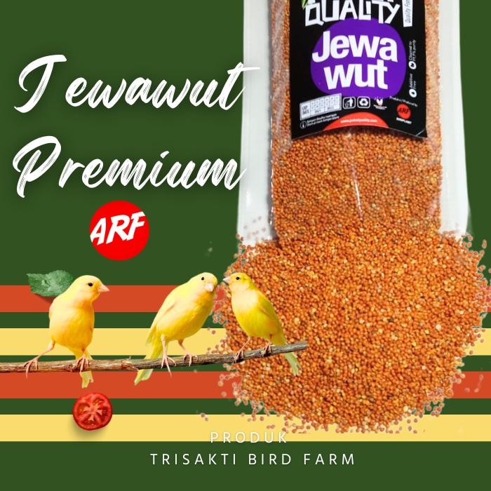 

Terlaris Pakan Burung Jewawut 500 Gr Biji Kunyit Untuk Burung Perkutut Siskin Kenari Lovebird