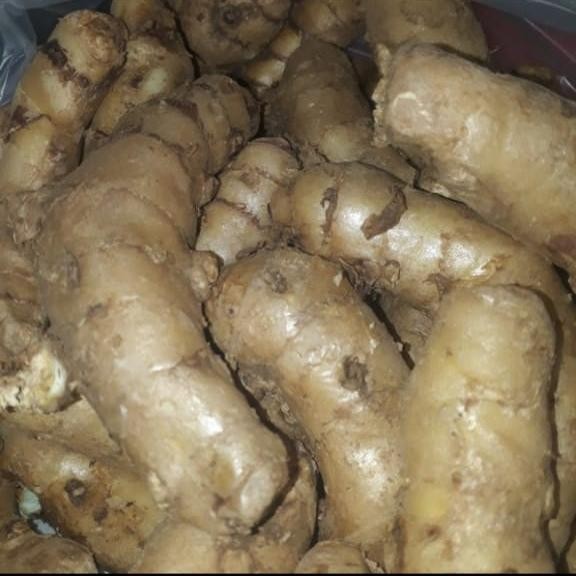 

Terlaris Obat Herbal Temu Ireng/Temu Hitam/Kunyit Hitam Kering 1Kg
