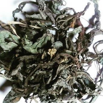 

TERMURAH!! Daun Tempuyung (Kering) Herbal Rempah Organik