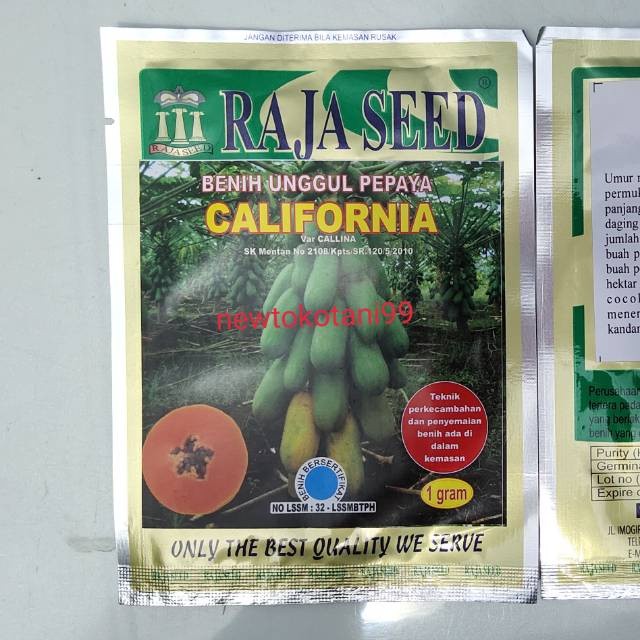 Benih Pepaya California 1 Gr Benih Kates Raja Seed