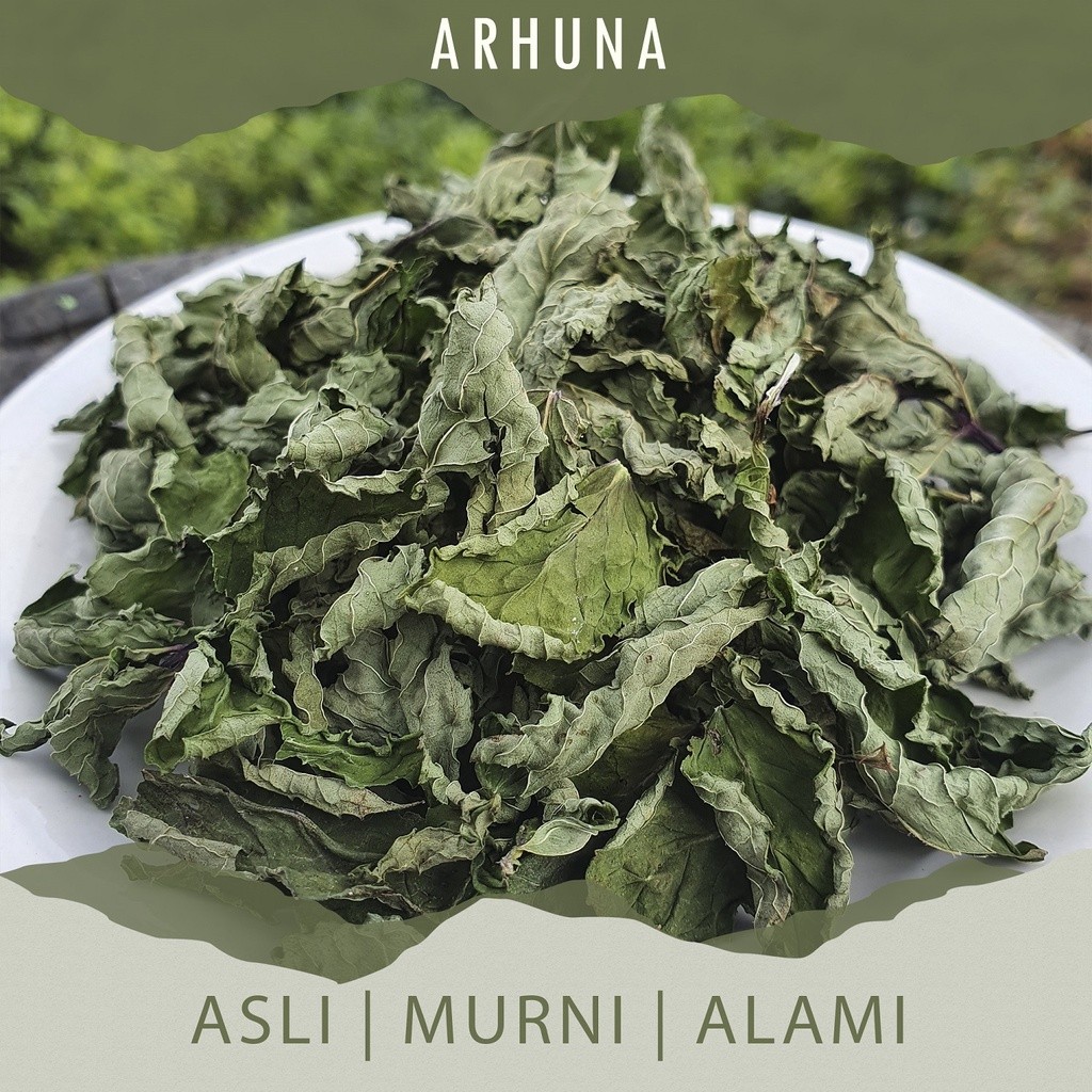 

Sensasi Lezat Daun Mint Kering