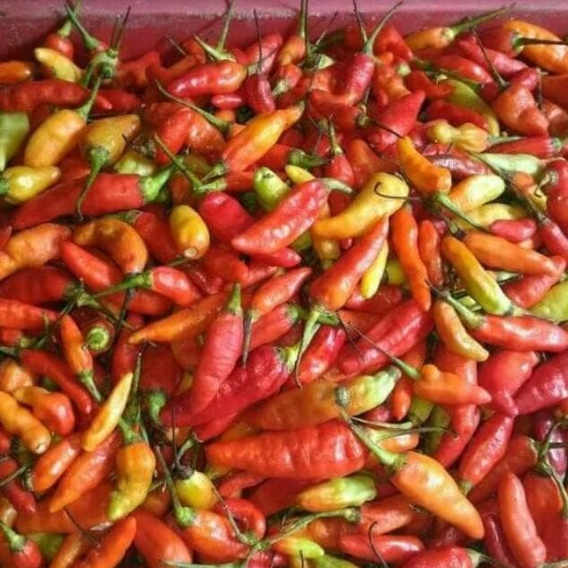 

Rawit merah 1 kg New
