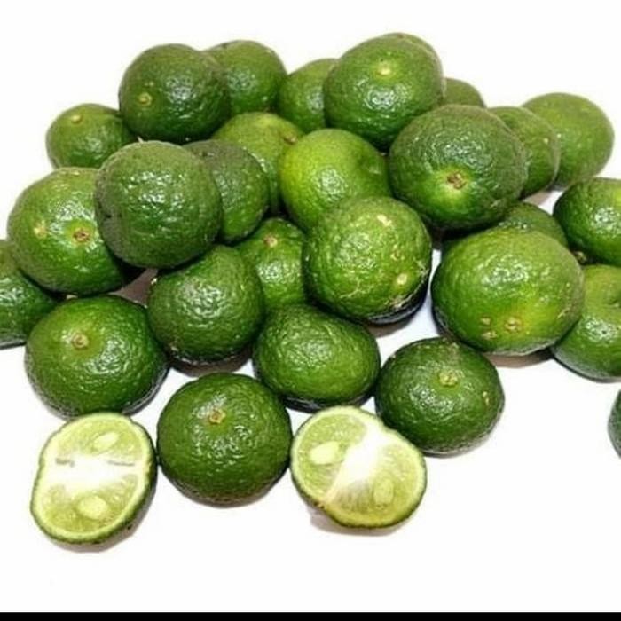 

bibit buah jeruk limo tanaman buah jeruk hasil okulasi