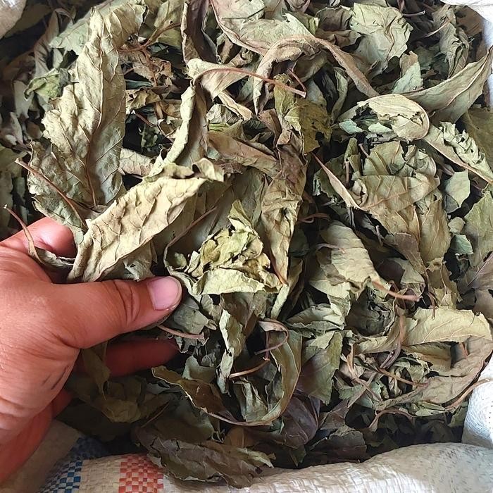 

TERMURAHH!! Daun Sambung Nyawa Kering Asli 500gr