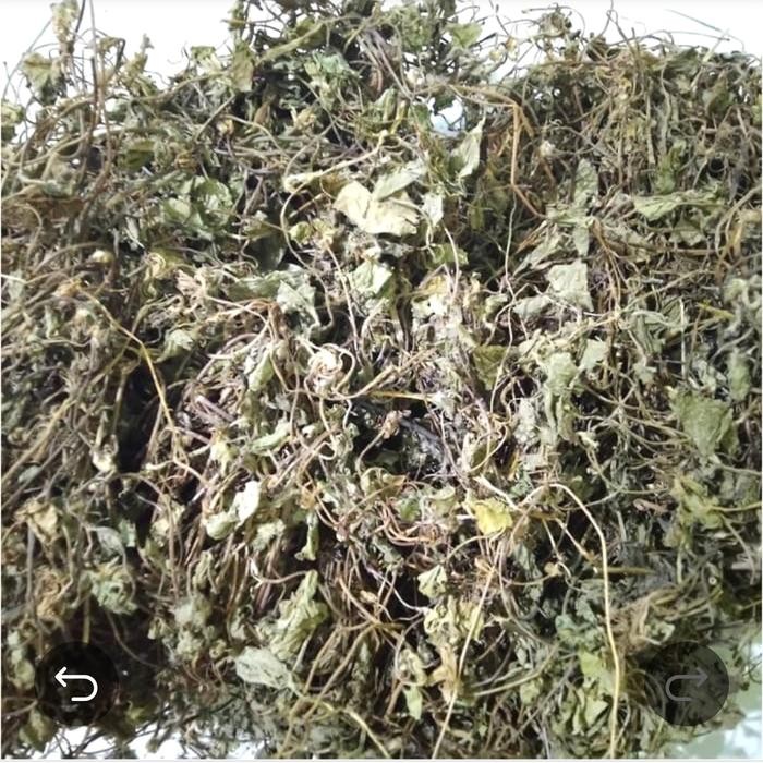 

TERMURAHH!! Daun Pegagan Kering 500gr - Daun Antanan - Daun Kaki Kuda Asli