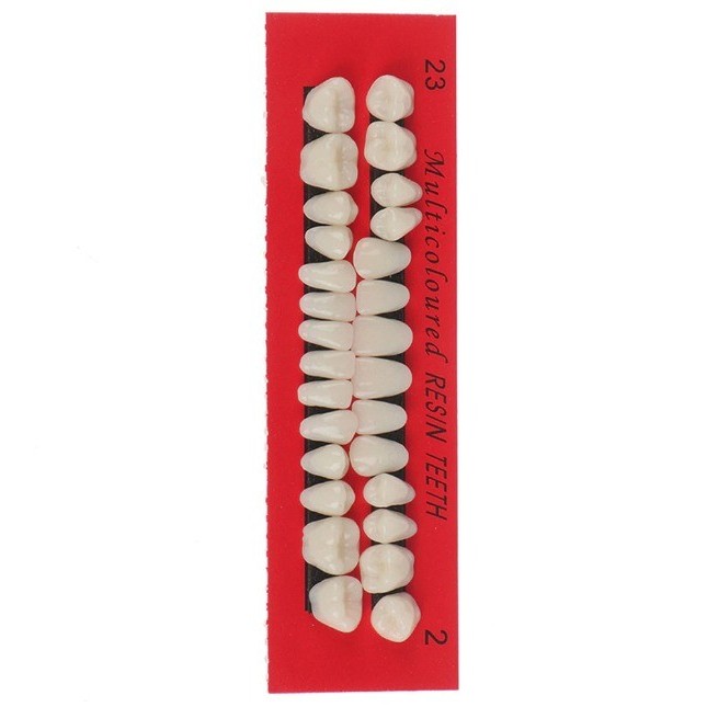 Paket Lengkap Gigi Palsu Resin Atas Bawah Gigi Palsu Full Set 28 Pcs