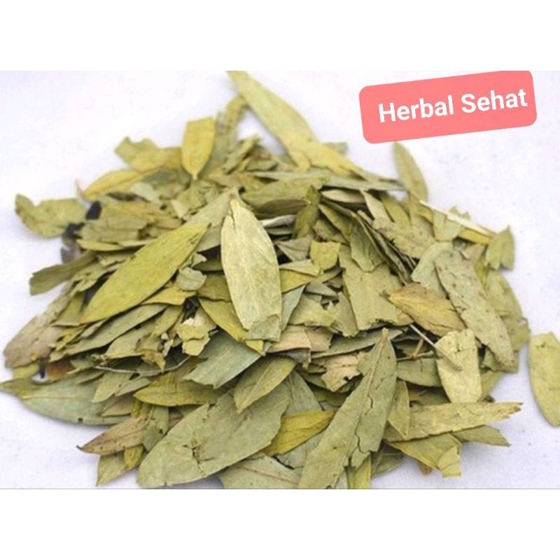 

Daun Jati Cina Asli 1Kg Kg/ Daun Jati Belanda Pan Xia Ye / Xie Ye PREMIUM